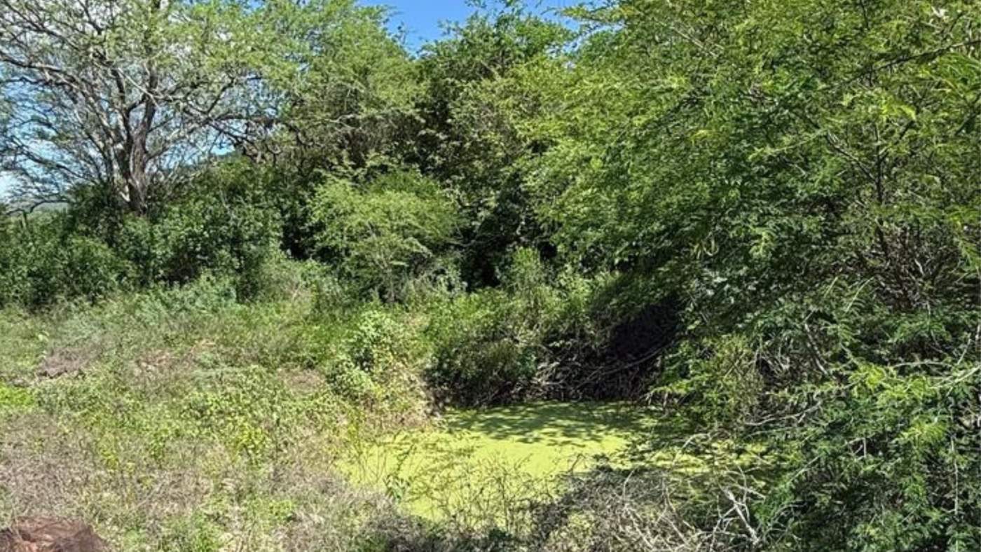 Loteamento e Condomínio, 70 hectares - Foto 6