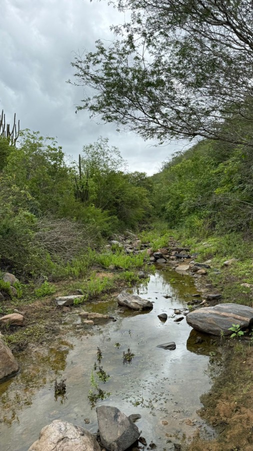 Loteamento e Condomínio, 70 hectares - Foto 3