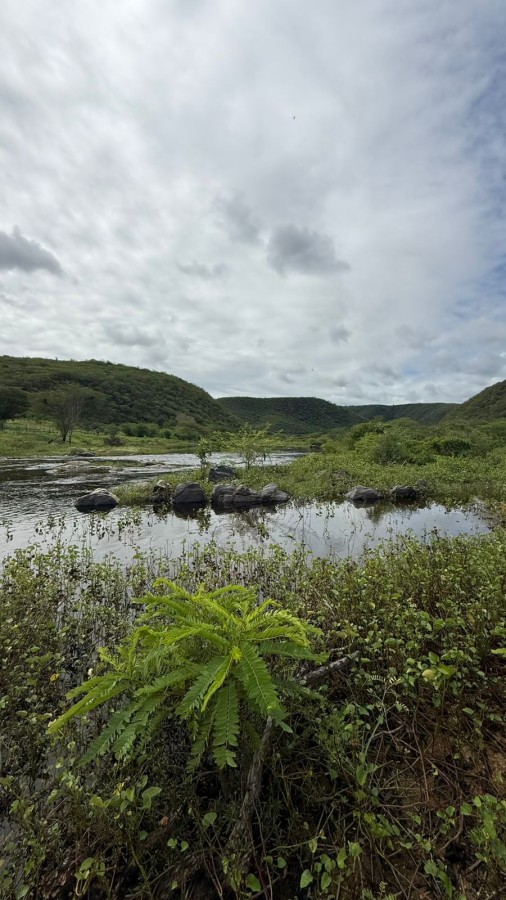 Loteamento e Condomínio, 70 hectares - Foto 5