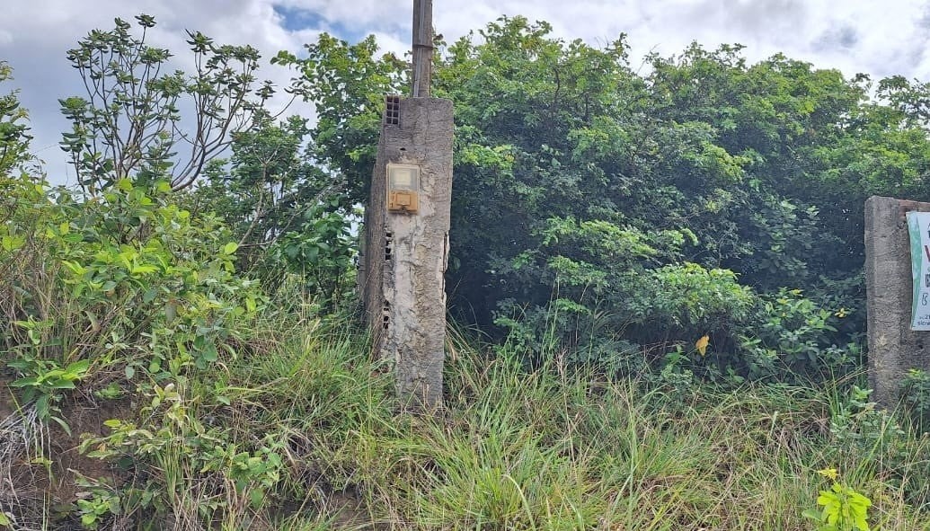 Terreno à venda - Foto 2