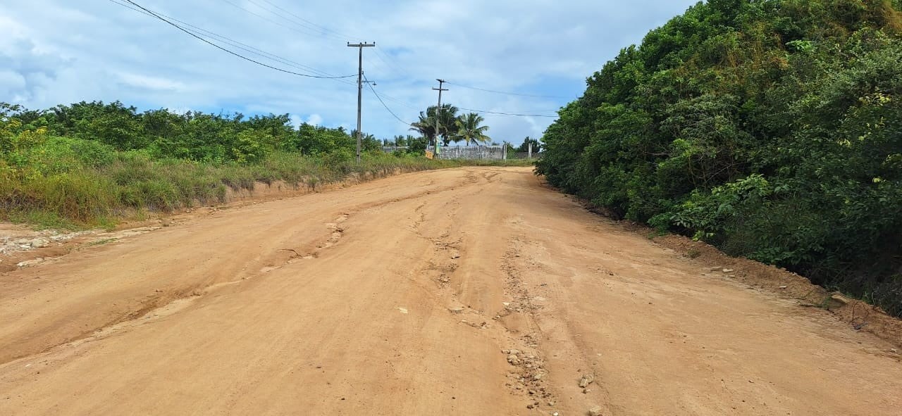 Terreno à venda - Foto 4