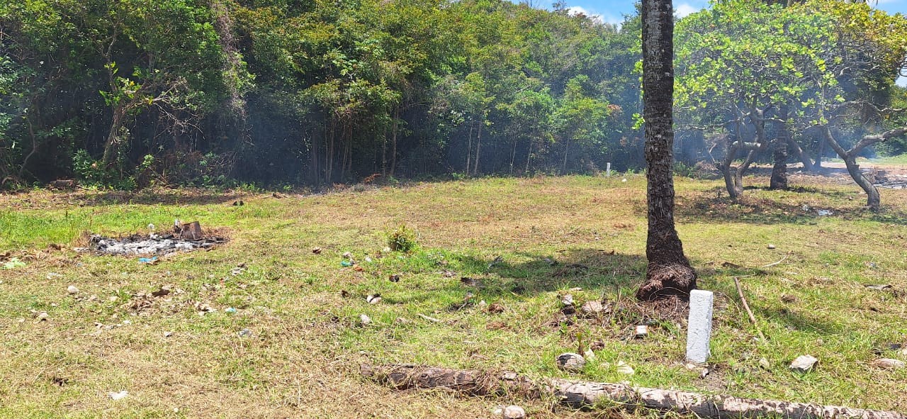 Terreno, 1660 m² - Foto 3