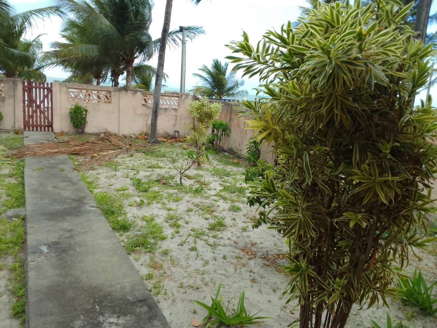 Casa, 5 quartos - Foto 6