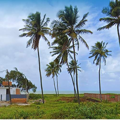 Terreno, 343 m² - Foto 1