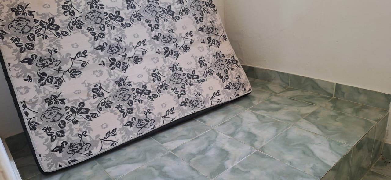 Casa, 4 quartos - Foto 13