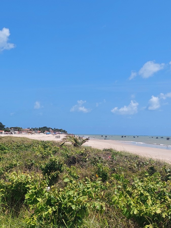 Casa, 7 quartos - Foto 36