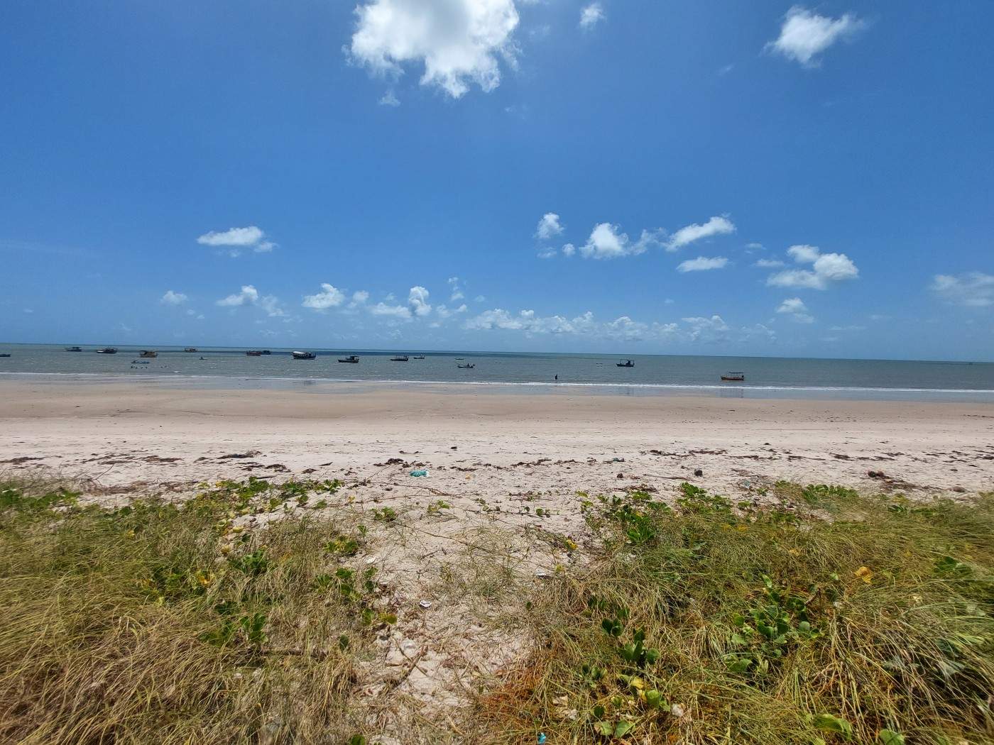 Casa, 7 quartos - Foto 37