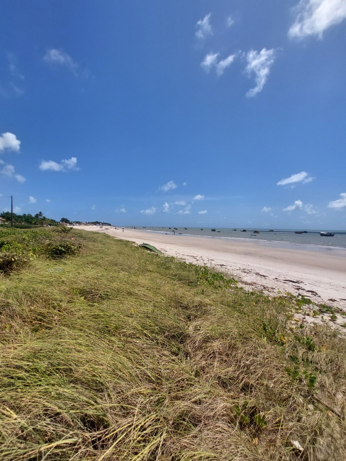 Casa, 7 quartos - Foto 38