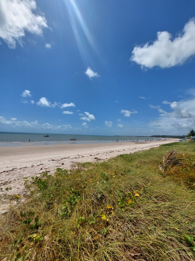 Casa, 7 quartos - Foto 39