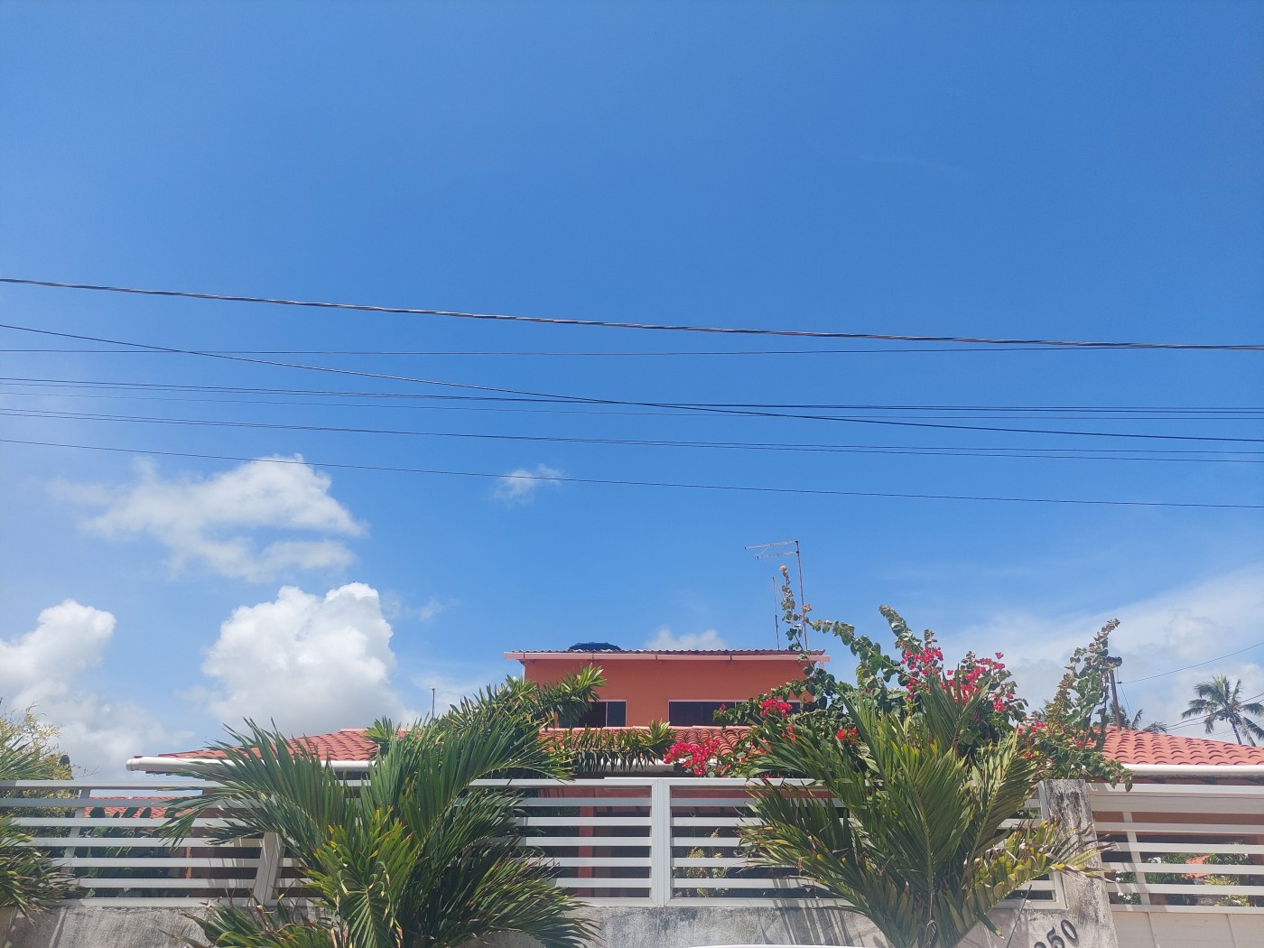 Casa, 6 quartos - Foto 1