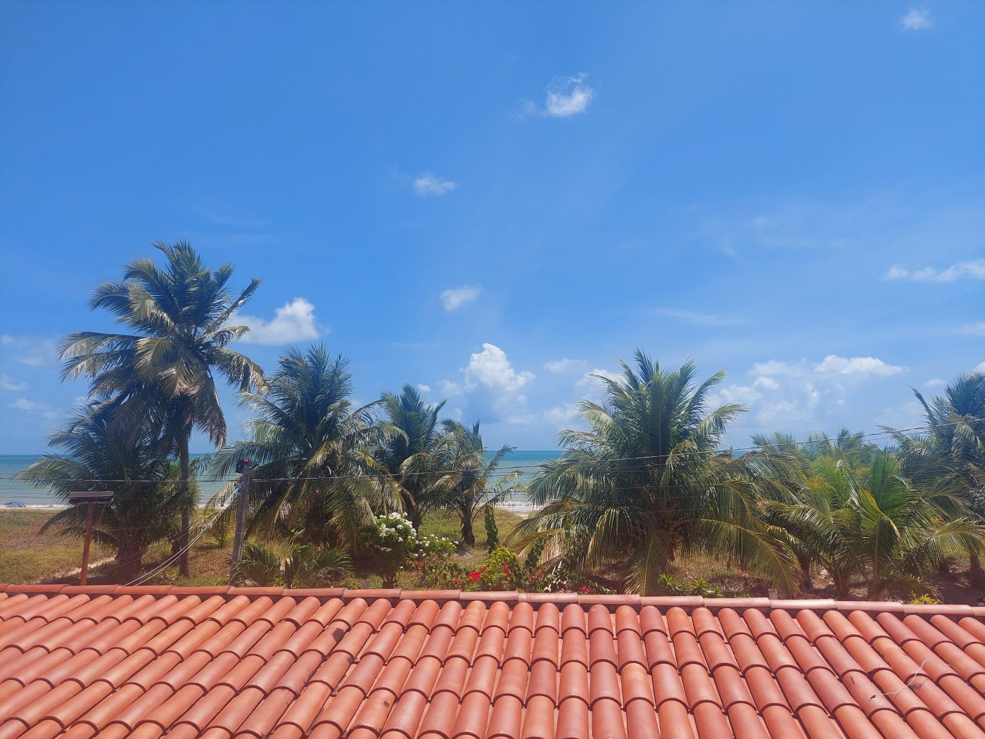 Casa, 6 quartos - Foto 7