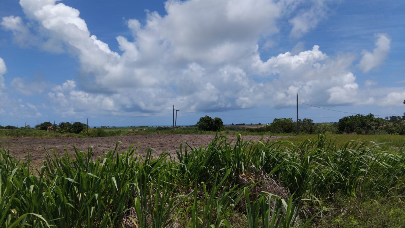 Terreno, 2121 m² - Foto 5