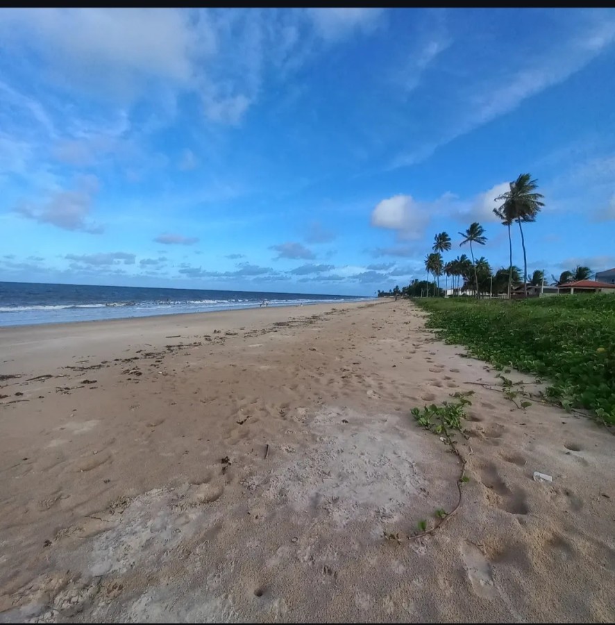 Casa, 5 quartos - Foto 11