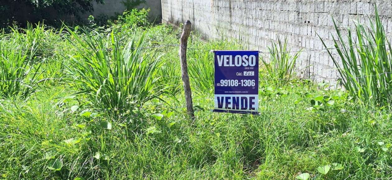 Terreno - Foto 2