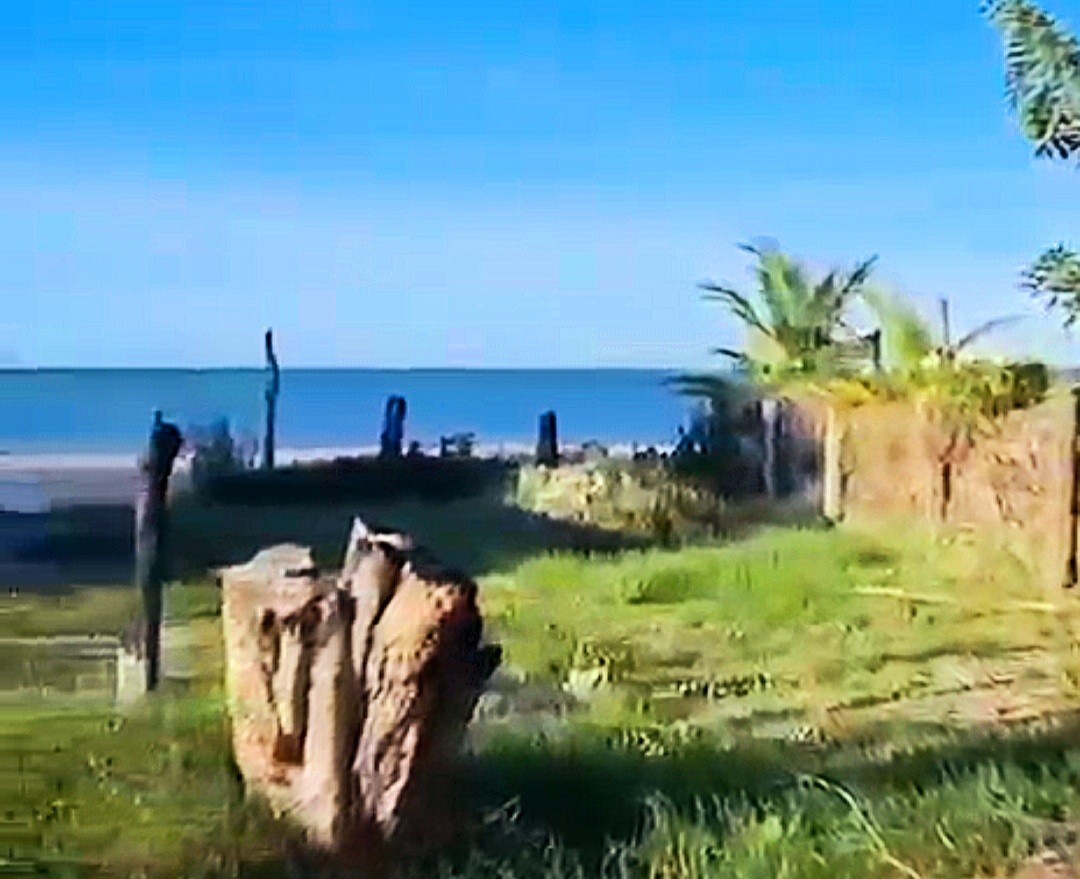 Terreno - Foto 2