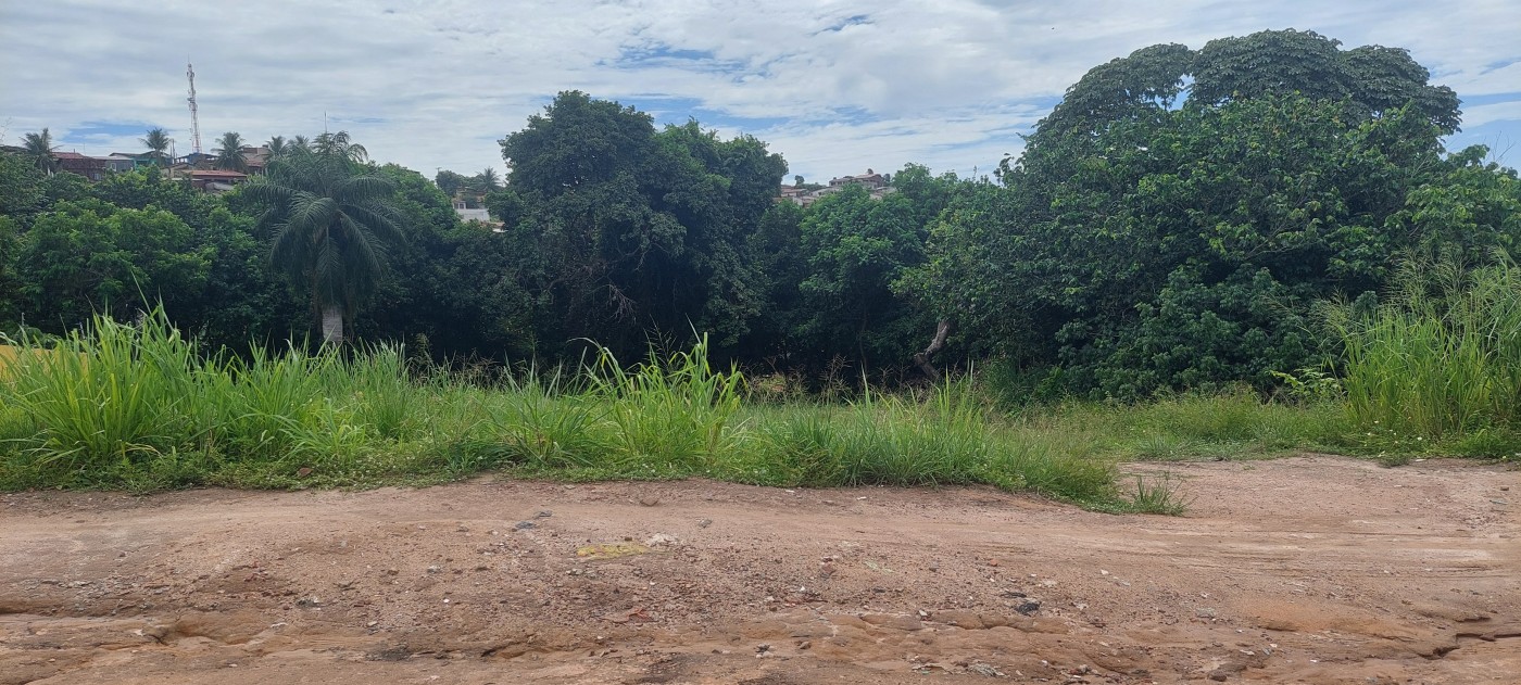 Terreno - Foto 4