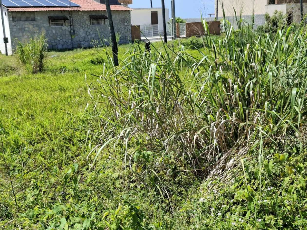 Terreno - Foto 7