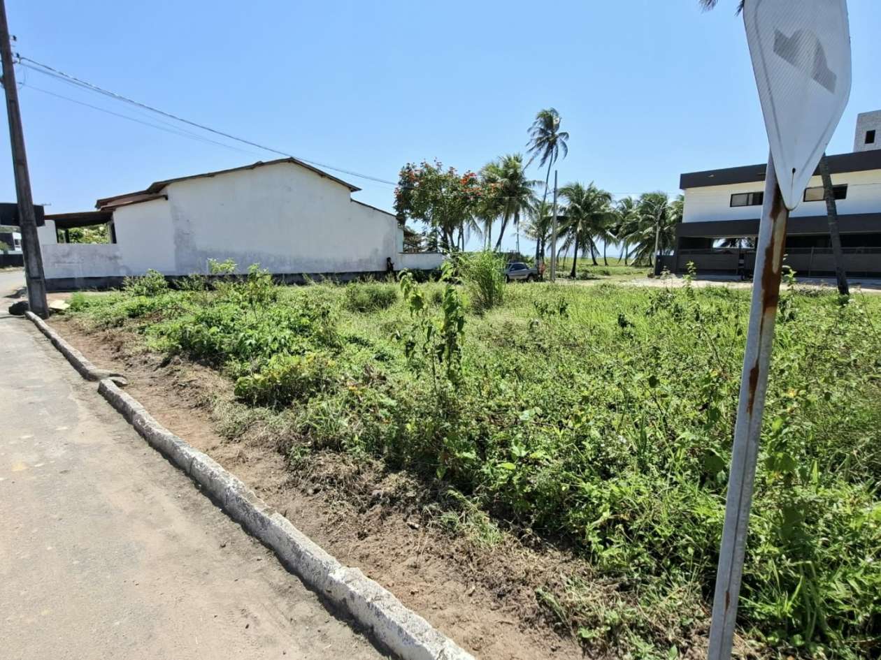 Terreno - Foto 1